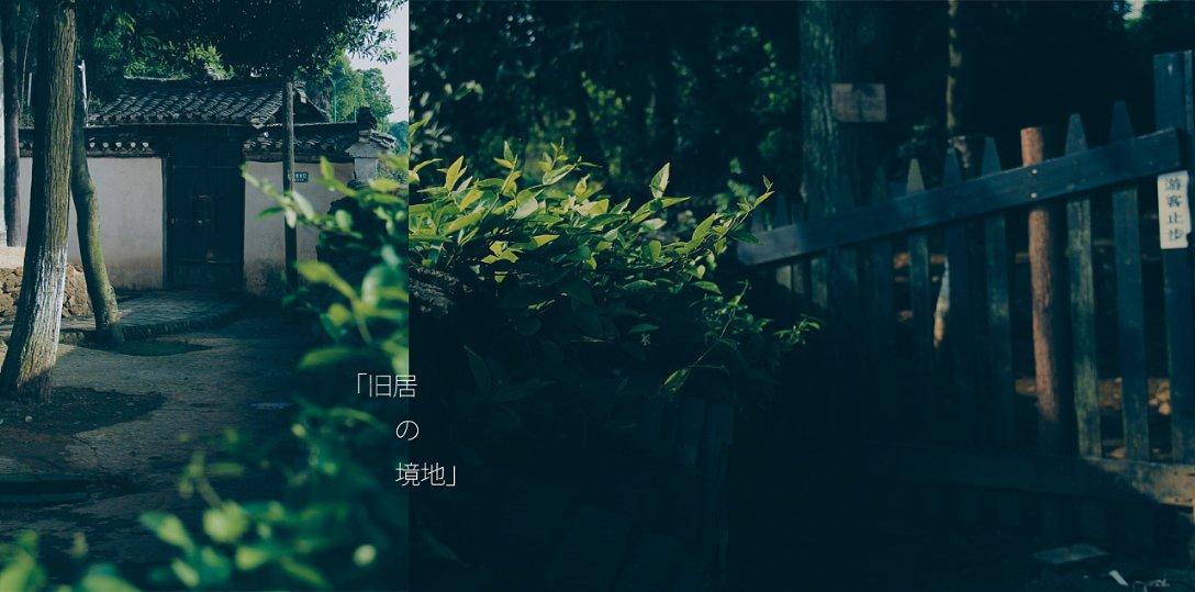 掘地挖宝
