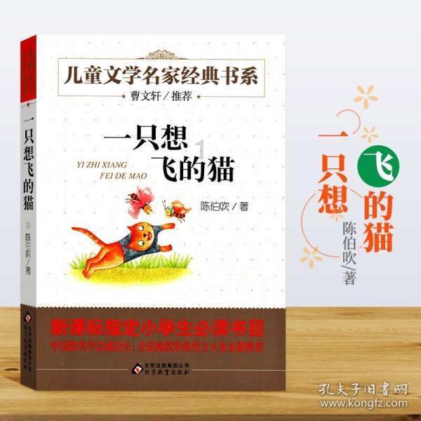 度假的时尚女孩