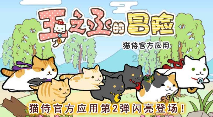 冷知识分享平台廊坊师范学院在职研究生,揭秘世间奇闻异事!