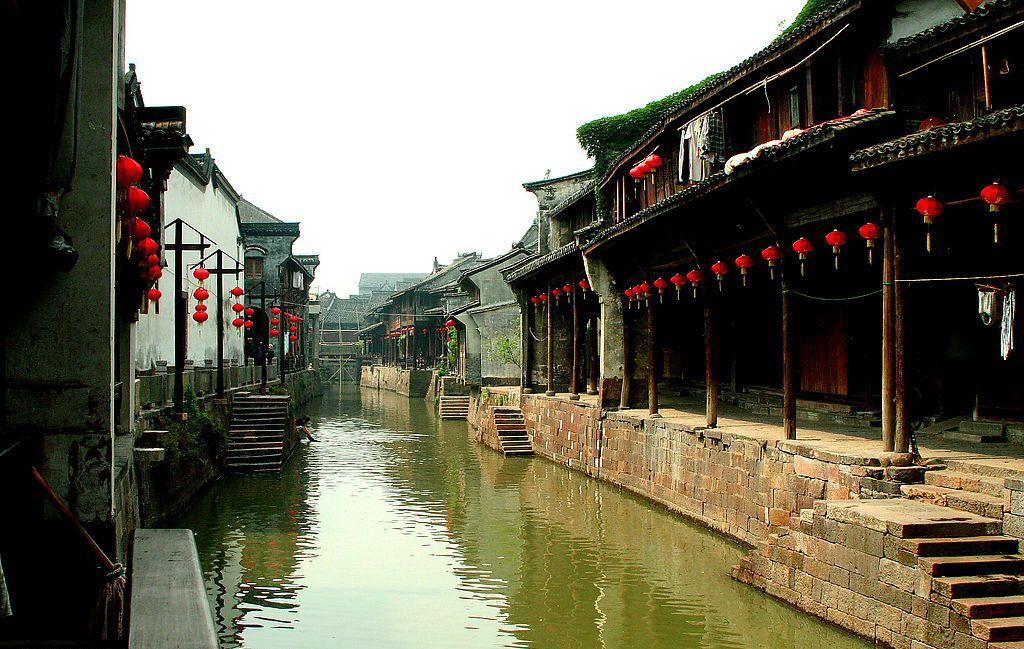 动物帮帮忙保卫家园